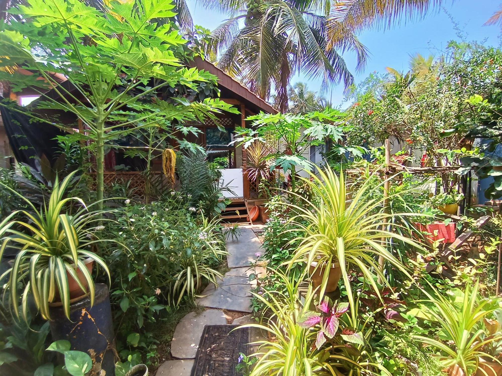 Monsoon Hotel อากอนดา ภายนอก รูปภาพ